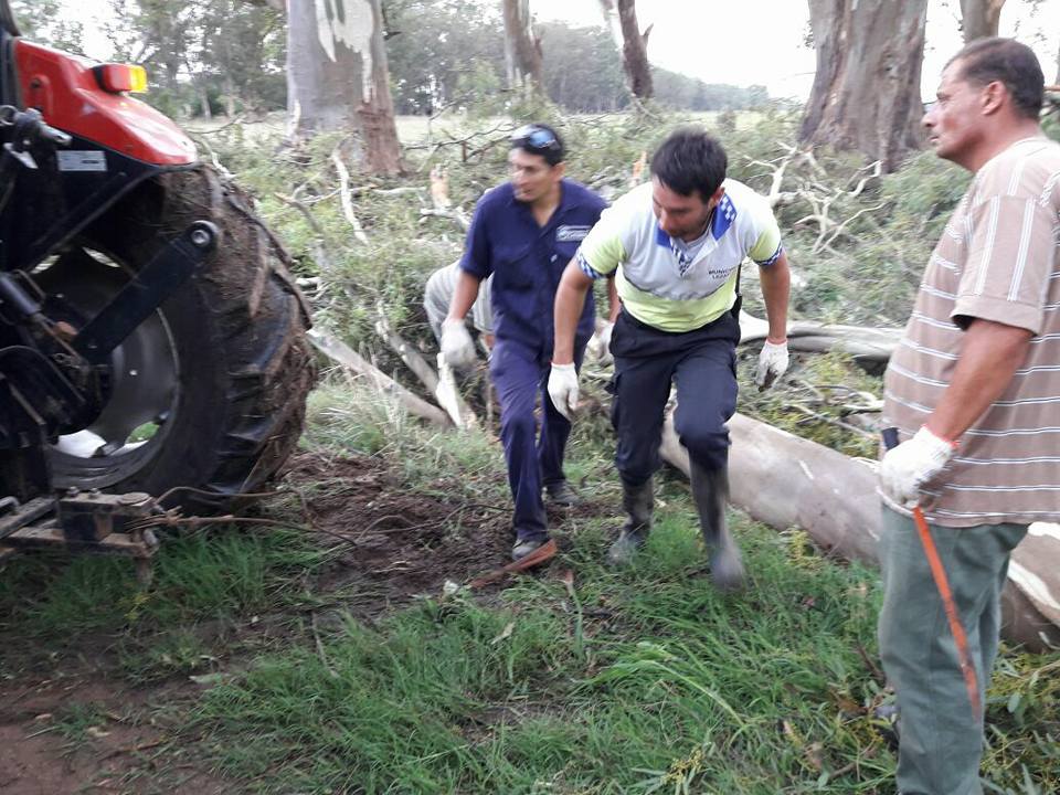 VIENTO LA BELEN 1