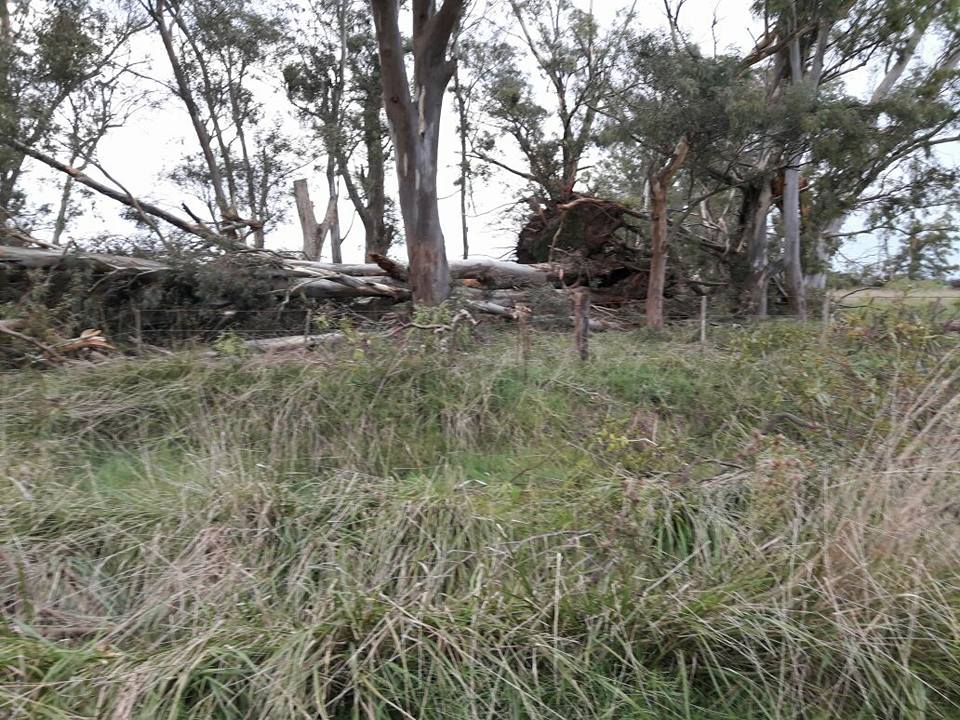 VIENTO LA BELEN 2