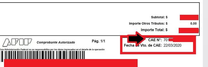 CAE AFIP 】 Qué Es + Cómo Sacar Constancia Diciembre 2024