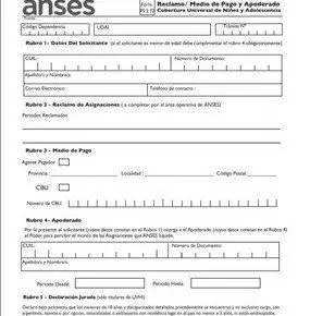 Cómo completar formulario 2.72 ANSES