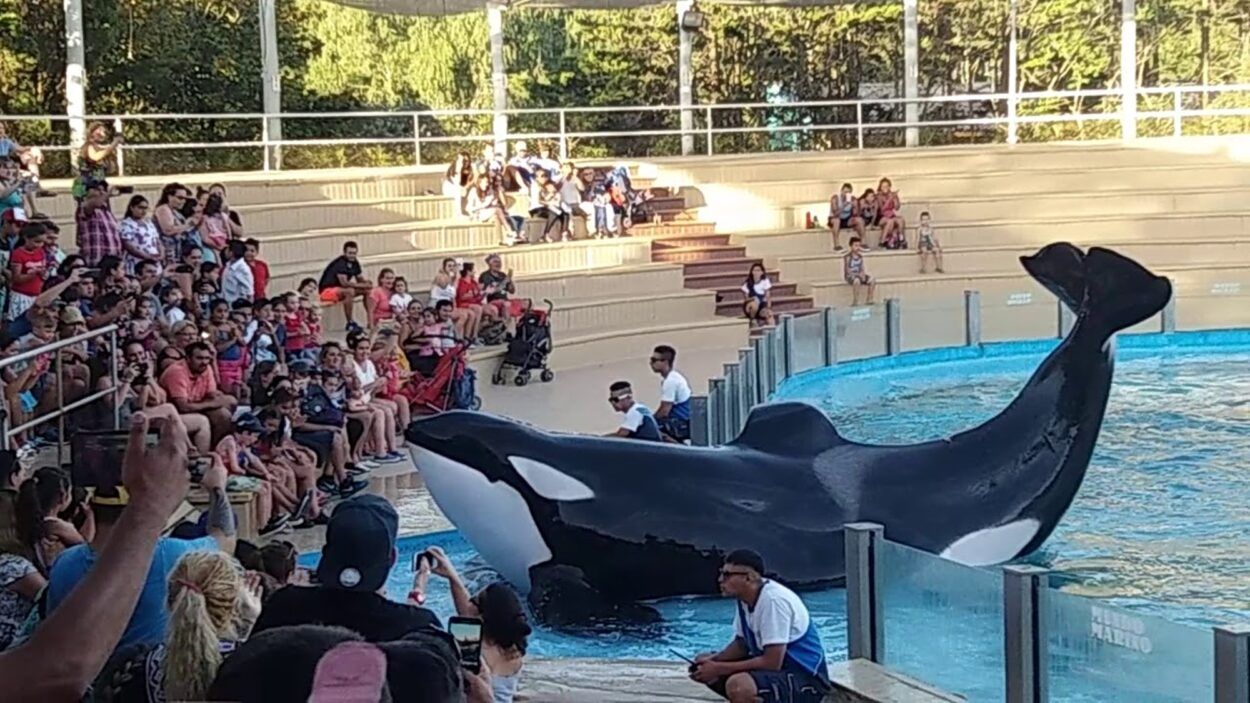 Finde xxl en el partido de la costa: todas las actividades para disfrutar en familia