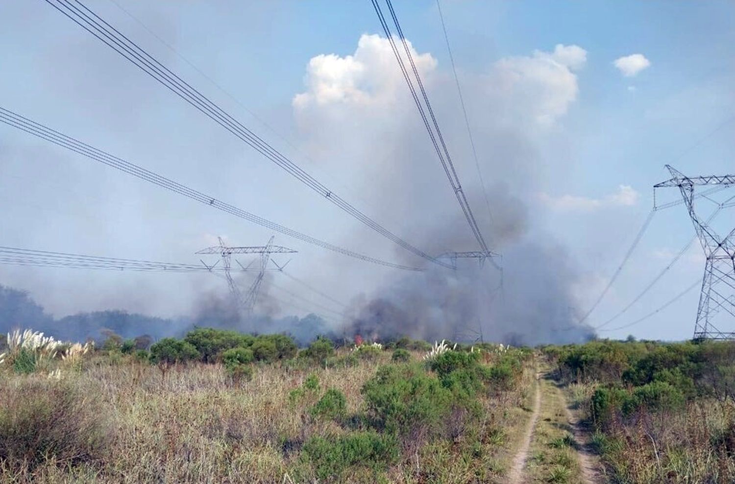 Un Incendio De Pastizales Entre Campana Y General Rodríguez Provocó El Gran Apagón 1046