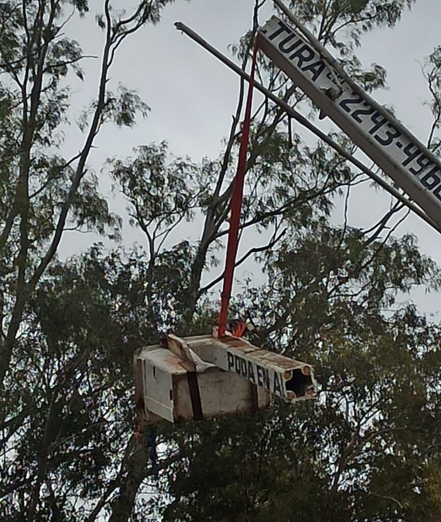 Pila: joven herido al caer del balde de un camión elevador mientras podaba un árbol