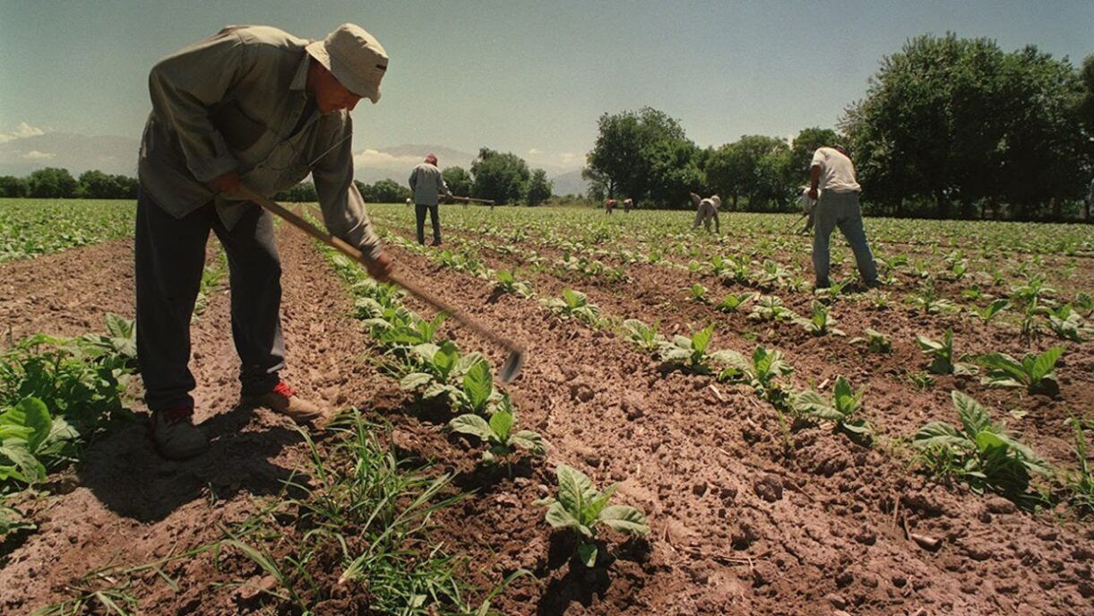 Trabajadores rurales temporarios