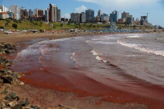 Playa mar rojo mar del plata