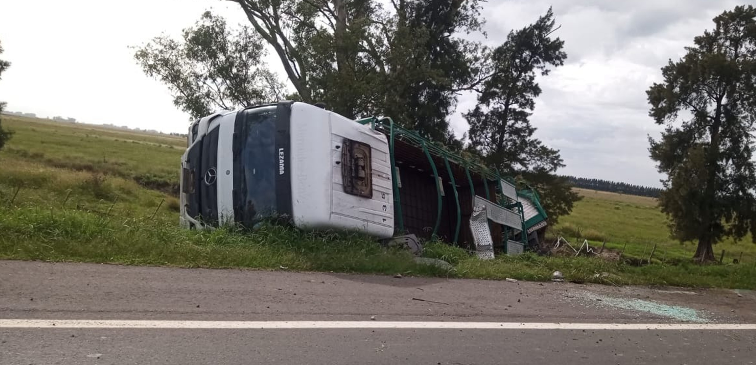 camion lezama